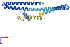 AlphaFold protein structure predicition of Human Recombinant CHMP1A Protein, UniprotID Q9HD42