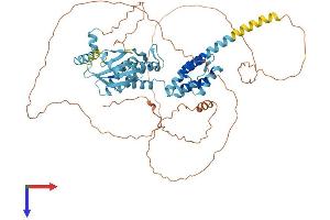 AlphaFold protein structure predicition of Mouse Recombinant Pnma5 Protein, UniprotID Q5DTT8