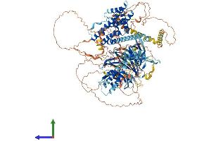 AlphaFold protein structure predicition of Mouse Recombinant Arhgef10 Protein, UniprotID Q8C033