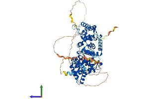 AlphaFold protein structure predicition of Human Recombinant PPP2R3B Protein, UniprotID Q9Y5P8