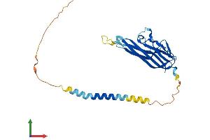 AlphaFold protein structure predicition of Human Recombinant TNFSF15 Protein, UniprotID O95150