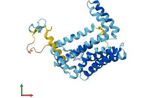 AlphaFold protein structure predicition of Human Recombinant PEX16 Protein, UniprotID Q9Y5Y5