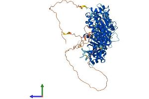 AlphaFold protein structure predicition of Human Recombinant NSUN2 Protein, UniprotID Q08J23