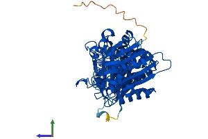 AlphaFold protein structure predicition of Human Recombinant NPEPL1 Protein, UniprotID Q8NDH3