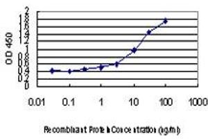 Detection limit for recombinant GST tagged RAPGEF4 is approximately 0.