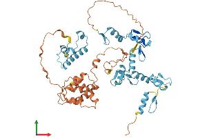 AlphaFold protein structure predicition of Human Recombinant ZNF302 Protein, UniprotID Q9NR11