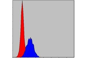 Flow cytometric analysis of MCF-7 cells using C-CBL mouse mAb (blue) and negative control (red). (CBL anticorps)