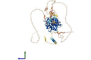 AlphaFold protein structure predicition of Human Recombinant WEE1 Protein, UniprotID P30291
