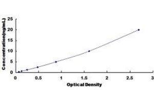 Epithelial Membrane Protein 3 (EMP3) ELISA Kit