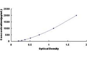 Typical standard curve (OLR1 Kit ELISA)