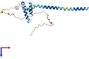 AlphaFold protein structure predicition of Human Recombinant DNAJC30 Protein, UniprotID Q96LL9
