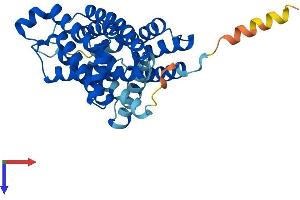 AlphaFold protein structure predicition of Mouse Recombinant Slc35a1 Protein, UniprotID Q61420