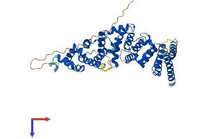 AlphaFold protein structure predicition of Human Recombinant FBXO47 Protein, UniprotID Q5MNV8