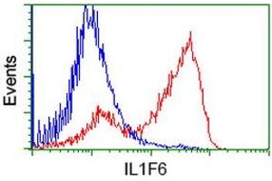 HEK293T cells transfected with either RC219328 overexpress plasmid (Red) or empty vector control plasmid (Blue) were immunostained by anti-IL1F6 antibody (ABIN2453184), and then analyzed by flow cytometry. (IL36A/IL1F6 anticorps)