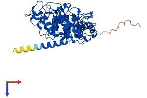 AlphaFold protein structure predicition of Mouse Recombinant Pggt1b Protein, UniprotID Q8BUY9