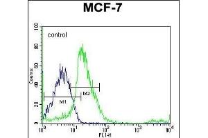 SRC Antibody (N-term) flow cytometric analysis of MCF-7 cells (right histogram) compared to a negative control cell (left histogram). (Src anticorps  (N-Term))