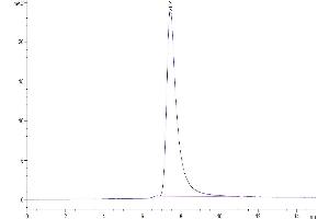 The purity of Mouse CD38 is greater than 95 % as determined by SEC-HPLC.