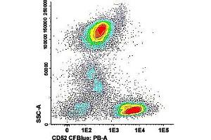 Flow cytometric analysis of human peripheral blood cells with CD52 monoclonal antibody, clone HI186 (CF-Blue) . (CD52 anticorps  (CF-Blue))