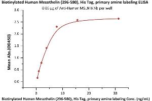 Immobilized A MSLN MAb at 0. (Mesothelin Protein (MSLN) (AA 296-580) (His tag,Biotin))
