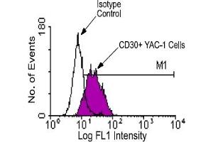 Flow Cytometry (FACS) image for anti-Tumor Necrosis Factor Receptor Superfamily, Member 8 (TNFRSF8) (Extracellular Domain) antibody (FITC) (ABIN370914)
