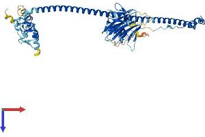 AlphaFold protein structure predicition of Human Recombinant TRIM22 Protein, UniprotID Q8IYM9
