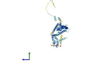 AlphaFold protein structure predicition of Human Recombinant DNAJC2 Protein, UniprotID Q99543