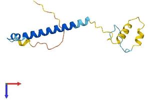 AlphaFold protein structure predicition of Mouse Recombinant Paip2 Protein, UniprotID Q9D6V8