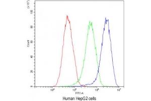 Flow cytometry testing of human HepG2 cells with AHSG antibody at 1ug/10^6 cells (blocked with goat sera) (Fetuin A anticorps)