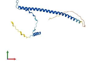 AlphaFold protein structure predicition of Human Recombinant PRKRIP1 Protein, UniprotID Q9H875