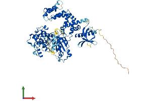 AlphaFold protein structure predicition of Human Recombinant GRK2 Protein, UniprotID P25098