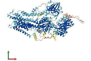 AlphaFold protein structure predicition of Mouse Recombinant Atp8b2 Protein, UniprotID P98199
