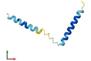 AlphaFold protein structure predicition of Human Recombinant SERF2 Protein, UniprotID P84101