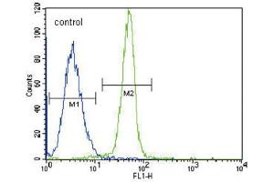 Flow Cytometry (FACS) image for anti-Leptin Receptor (LEPR) antibody (ABIN3002526) (Leptin Receptor anticorps)
