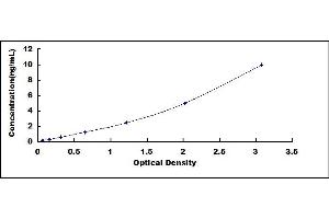 Microfibrillar Associated Protein 5 (MFAP5) ELISA Kit