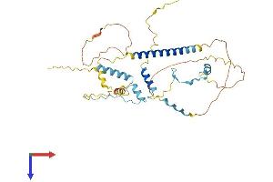 AlphaFold protein structure predicition of Mouse Recombinant Mtfr2 Protein, UniprotID Q8VED8
