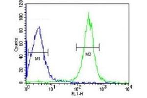 ANGPTL4 antibody flow cytometric analysis of HepG2 cells (green) compared to a negative control (blue).