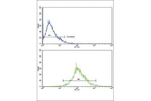 Flow Cytometry (FACS) image for anti-Tyrosinase-Related Protein 1 (TYRP1) antibody (ABIN3003171)