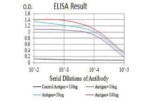 Black line: Control Antigen (100 ng),Purple line: Antigen (10 ng), Blue line: Antigen (50 ng), Red line:Antigen (100 ng) (DDR1 anticorps  (AA 21-176))