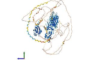 AlphaFold protein structure predicition of Mouse Recombinant Rbm12 Protein, UniprotID Q8R4X3