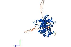 AlphaFold protein structure predicition of Mouse Recombinant Ccnb2 Protein, UniprotID P30276