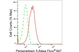 anti-Peroxiredoxin 5 (PRDX5) antibody