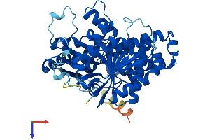 AlphaFold protein structure predicition of Mouse Recombinant Tubb2b Protein, UniprotID Q9CWF2