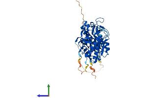 AlphaFold protein structure predicition of Human Recombinant MRPS30 Protein, UniprotID Q9NP92