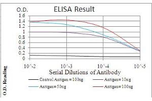 Black line: Control Antigen (100 ng), Purple line: Antigen(10 ng), Blue line: Antigen (50 ng), Red line: Antigen (100 ng),