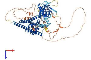 AlphaFold protein structure predicition of Human Recombinant ARHGEF25 Protein, UniprotID Q86VW2