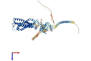 AlphaFold protein structure predicition of Human Recombinant CNGA2 Protein, UniprotID Q16280