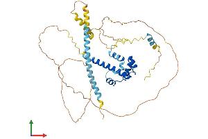 AlphaFold protein structure predicition of Human Recombinant BSDC1 Protein, UniprotID Q9NW68