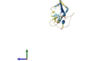 AlphaFold protein structure predicition of Mouse Recombinant Drc1 Protein, UniprotID Q3USS3