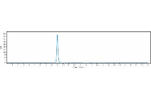 anti-Chemokine (C-C Motif) Ligand 20 (CCL20) antibody