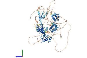 AlphaFold protein structure predicition of Human Recombinant GTF2IRD1 Protein, UniprotID Q9UHL9